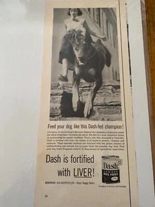 Vintage 1954 Dash Dog Food Doberman Dog ad - Picture 1 of 1