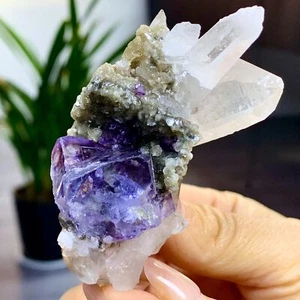 Fluorite cubica viola naturale 85G + esemplare a grappolo cristallo bianco - Foto 1 di 18
