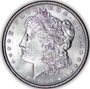 Dólar de plata Morgan 1889 ~ sin circular - Imagen 1 de 2