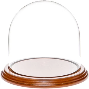 Plymor 5.5" x 5.5" Glass Display Dome Cloche (Walnut Veneer Base) - Picture 1 of 1