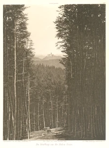 Deutschland,Carl Mittag,Friedrich Roda,Original Aufnahme 1901 Wartburg - 16x21,5 - Picture 1 of 1