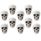 10 Pcs Plastic Skull Props Halloween Skeleton Head Decoration