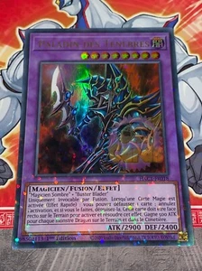 Yu Gi Oh Karte Paladin der Finsternis FAC1-FR018 - Bild 1 von 1