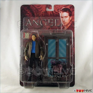 Angel Rain of Fire Wesley figure TimeandSpace Exclusive worn Diamond Select - Picture 1 of 2