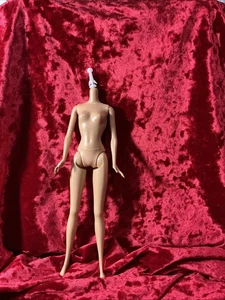 Barbie Puppe nur Körper Fashion Fever mittlere Haut gerade Arme Indonesien Knie beugen - Bild 1 von 5