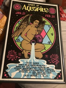 Original 1976 Funky Enterprises-AQUARUIS 603 Velvet Blacklight Poster 36”x24 - Bild 1 von 20