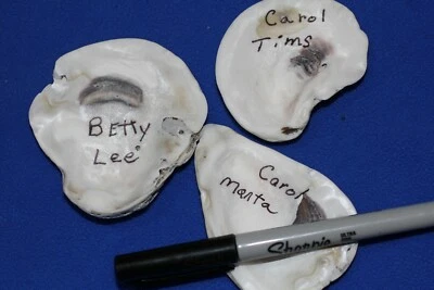 DIY Beach Wedding Oyster Shell Name Place Settings, 1" to 3" Oyster Gems - Image 1 of 4