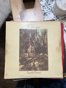 Van Morrison - Tupelo Honey 1971 Stereo Vinyl LP Album WB Green Label - Picture 1 of 6