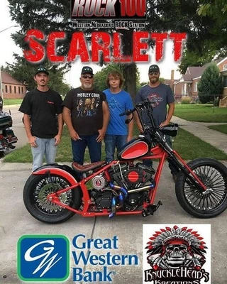 Sistema de escape de acero inoxidable Twist hecho a mano para Harley Sportster 883 48 1200 Foto 1 de 2