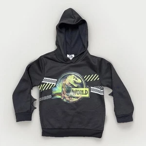 Jurassic Park Retro Dinosaur Logo Changing Boy's Size 4 Black Hoodie Pullover - Picture 1 of 1