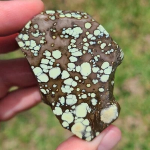 NATURAL STAR FOX VARISCITE GREZZO NEVADA 85,8 GRAMMI - Foto 1 di 7