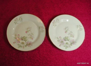 {SET(s) OF 2} PT Tirschenreuth (Apple Blossom - White ) 6 1/8" BREAD PLATES Exc - Picture 1 of 3