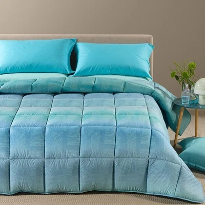 Trapunta Piumone invernale Atlantis Caleffi Microfibra - dimensioni varie AB909 - Immagine 1 di 4