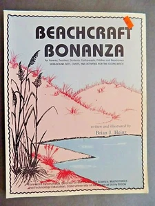 BEACHCRAFT BONANZA - Picture 1 of 12
