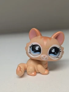 Original Hasbro Littlest Pet Shop Collector Journal schimmernde Katze #870 LPS - Bild 1 von 5