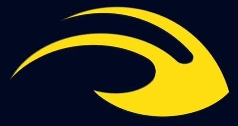 Michigan Wolverines U of M Winged Helmet Vinyl Decal Window Laptop Sticker HAIL! Cover