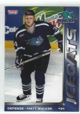 Matt Walker 2000-01 Worcester IceCats (AHL)