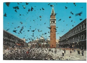 BR3769 Venezia Piazza San Marco Piccionata Viaggiata 1982 verso Roma - Foto 1 di 2