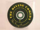 THE DIVINE COMEDY THE FROG PRINCESS (C62) 1 Track Promo CD Single Plastic Sleeve