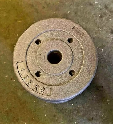  Weight Plates Discs 1" Standard Dumbbell / Barbell Weights Fitness Gym - Image 1 of 2