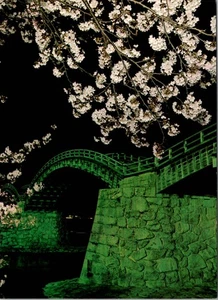 Japan Nachtszene beleuchtete Kintai Brücke während der Kirschblütenzeit - Bild 1 von 2