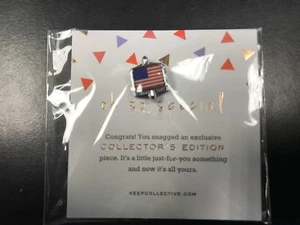 Keep Collective Keys (neu) US FLAGGE - SILBER - Bild 1 von 1
