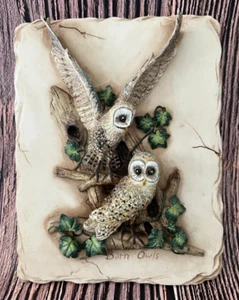 Barn Owl Resin Plaque 6.5"x7.5"x1" (3D) - Picture 1 of 4