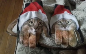 Kids Cat Mittens-Colorful!9.99 Buy It Now! - Picture 1 of 3