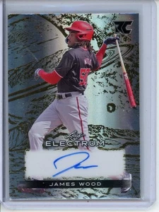 2024 Leaf Electrum James Holzsockel Autogramme Silberbrett mit Goldfolie #1/1 - Bild 1 von 2