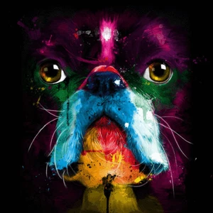 Patrice Murciano Dog Wall Art Printed Canvas Stretched Over Solid Pine Frame - Picture 1 of 3