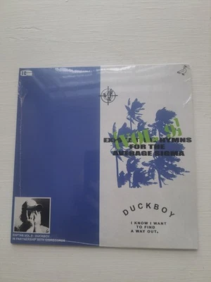 DUCKBOY – existential hymns for the average sigma [vol. 9] - Vinyl Record Foto 1 de 4