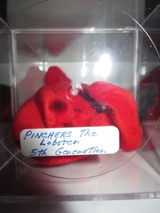 Pinchers the Lobster Beanie Baby, 5th Generation Retired Mint - Picture 1 of 1