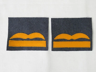 Luftwaffe Dienstgradabzeichen Generalmajor Abzeichen Knochensack Fallschirmjäger - Bild 1 von 2