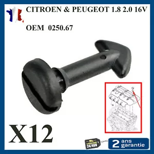 12 Vis Fixation Cache Moteur 1.8 2.0 16V prévu pour 206 306 307 406 806 Expert - Imagen 1 de 2