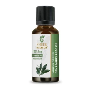 Bay Laurel Leaf Oil- (Laurus Nobilis)-(10ML-1000ML)-100% Pure Therapeutic Grade - Picture 1 of 9