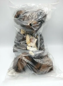 Boyds Bears Furley Bearsdale Minky Brown 16" Plush Teddy 510404 NWT in Bag - Picture 1 of 6
