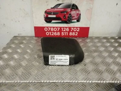 Peugeot Boxer Hdiprofessional Xlwb 2011-2020 O/S/F DOOR SPEAKER COVER 1344120080 - Image 1 of 2