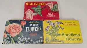 Ein Leitfaden für Wildblumen Garten Wald und Feldblumen 3 Buch TH Everett 1945 - Bild 1 von 10