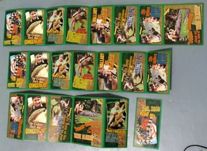VINTAGE STEVE IRWIN CROCODILE HUNTER 21 VALENTINSTAGSKARTEN 2000 NIE BENUTZT (A08) - Bild 1 von 2