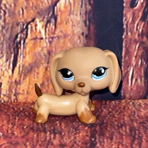 LPS #1211 Littlest Petshop CHIEN TECKEL Hund Dackel Hasbro RAR - Bild 1 von 10