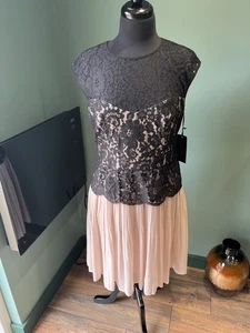 Stunning Size 14 Lace Bodice Pleat Skirt Dress - Warehouse - New With Tags - Picture 1 of 6
