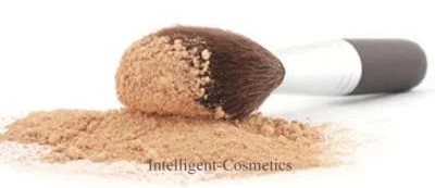 INTELLIGENT COSMETICS MAKELLOSER Bronzer Rouge Pinsel Full Face Rundkopf Mineral Make-up Pinsel NEU