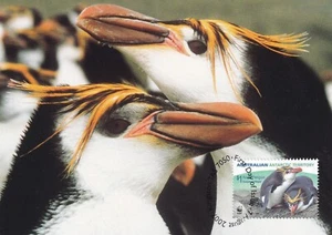 AUSTRALIAN ANTARCTIC TERR 2007 FOUR FIRST DAY COVERS ON MAXI CARDS, WWF - Picture 1 of 4