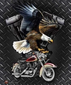 MOTORCYCLE CRUISING EAGLE Soft Warm Luxury QUEEN Bed Bedroom Blanket 79" x 94" - Picture 1 of 2