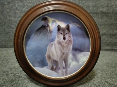 UNITED IN SPIRIT Masters of the Land and Sky Plate #10318A - Image 1 of 4