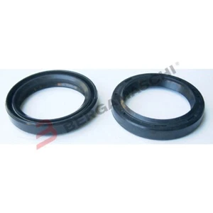 KIT PARAOLI PER FORCELLE 2 PEZZI 40X52X8/9,5 TOURMAX YAMAHA V-MAX 1200 85>93 - Foto 1 di 4