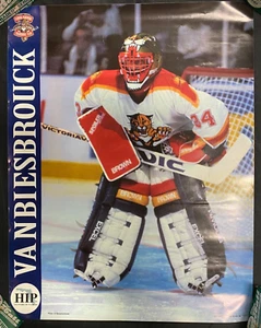 1994 HIP Florida Panthers Eröffnungsjahr Vanbiesbrouck Promo Poster 17x22 PBNM - Bild 1 von 4