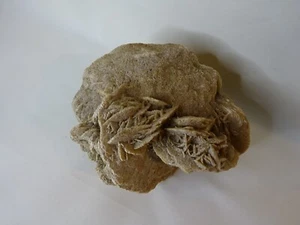DESERT ROSE SELENITE SAND ROSE GYPSUM LARGE FORMATION 140mm x 110mm x 70mm Heal - Picture 1 of 3