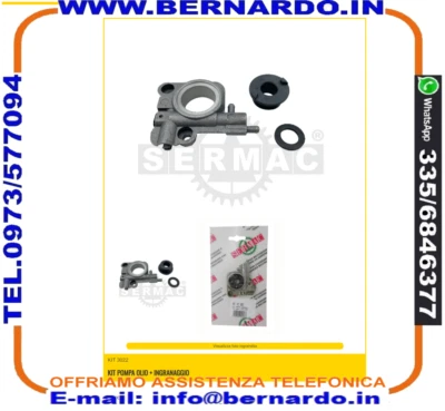 Kit pompa olio + ingranaggio ECHO 260, 260TES, CS270WES, CS320T, CS320TES, CS351 - Immagine 1 di 3