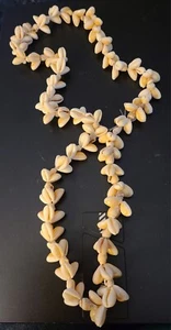 Natural Seashell Necklace With Cowrie "Good Luck" Shells From Hawaii, Nice - Picture 1 of 7